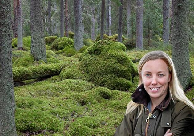  Tyvärr ser jag hur reportrarnas åsikter lyser igenom i rapporteringen från framförallt två stora svenska mediekanaler, skriver Marit Bohlin, blivande skogsägare, LRF Ungdomen. 