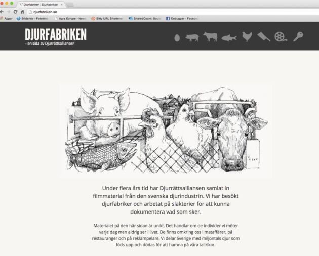 På hemsidan publicerar Djurrättsalliansen rörliga, smygfilmade bilder inifrån svenska gårdar.