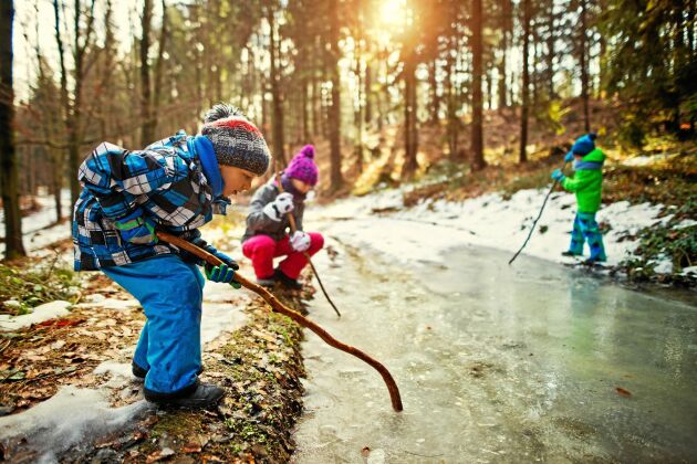  Barn som ofta rör sig i naturen är mindre klumpiga än barn som växer upp i städer, enligt forskare i Finland.