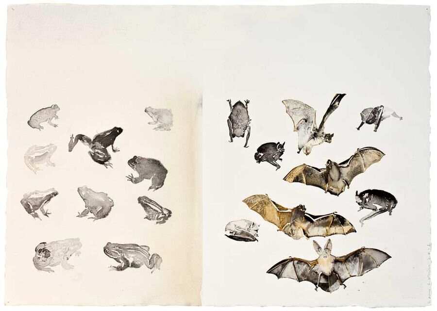 Konstnären Lars Lerin har koll på djurarterna.