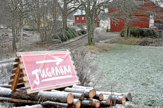  Julgransförsäljning på Västergården i Asklanda utanför Vårgårda. 