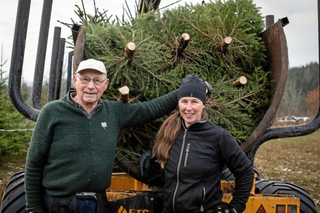  81-årig Uno Axelsson är till stor hjälp för sin dotter Hanna Lupiner, med att sköta släktgårdens odling och försäljning av julgranar.