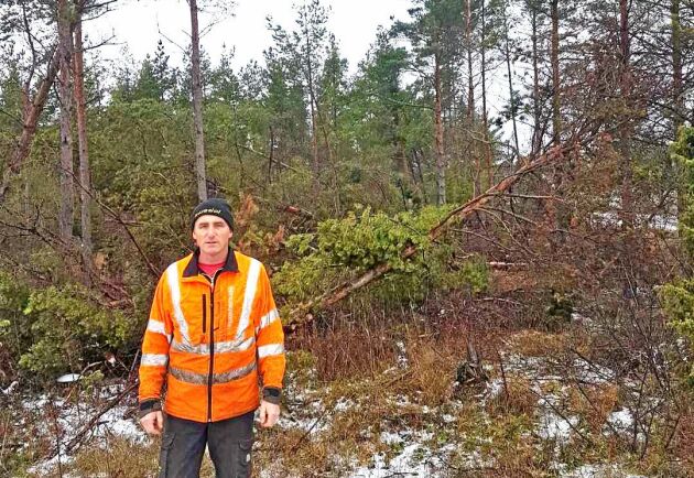  Skogsägaren Ronny Kellström på Fårö har drabbats hårt av stormen Alfrida.