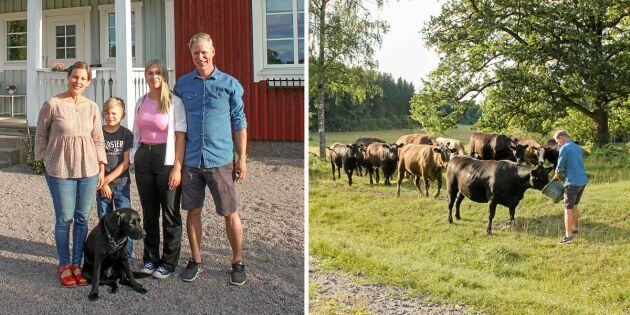 Familjen Haglund flyttade till landet: "Längtan till stugan fick oss att ta steget"