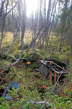  Markägarna visade resterna av en huggarkoja som de menar visar att skogen brukats under lång tid.