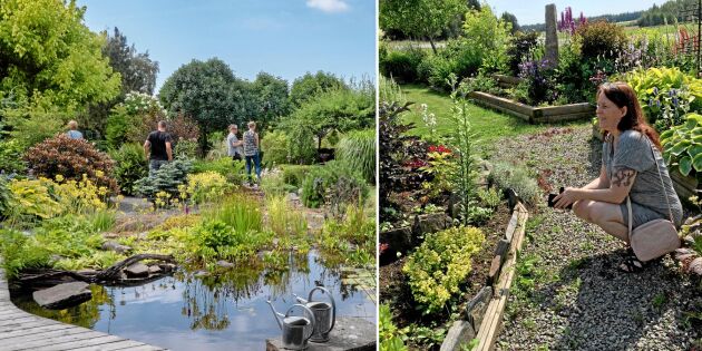Öppen Trädgård 2018: Se alla vackra bilder från trädgårdarna