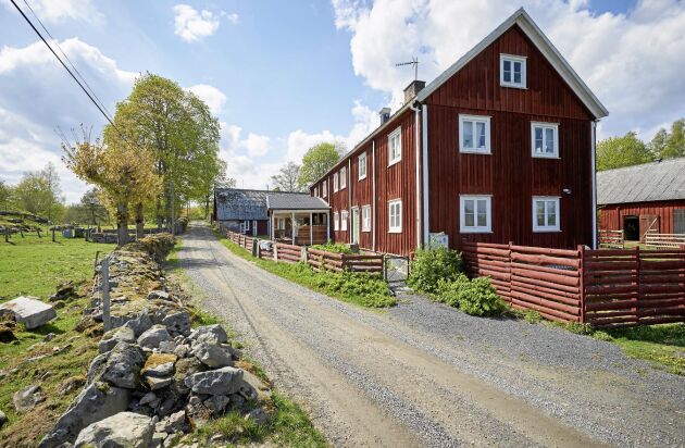  Kulturlandskap med stenmurar och gamla åkrar och hagar omger familjens åtta hektar stora gård i Strönhult, i skånska Osby kommun.