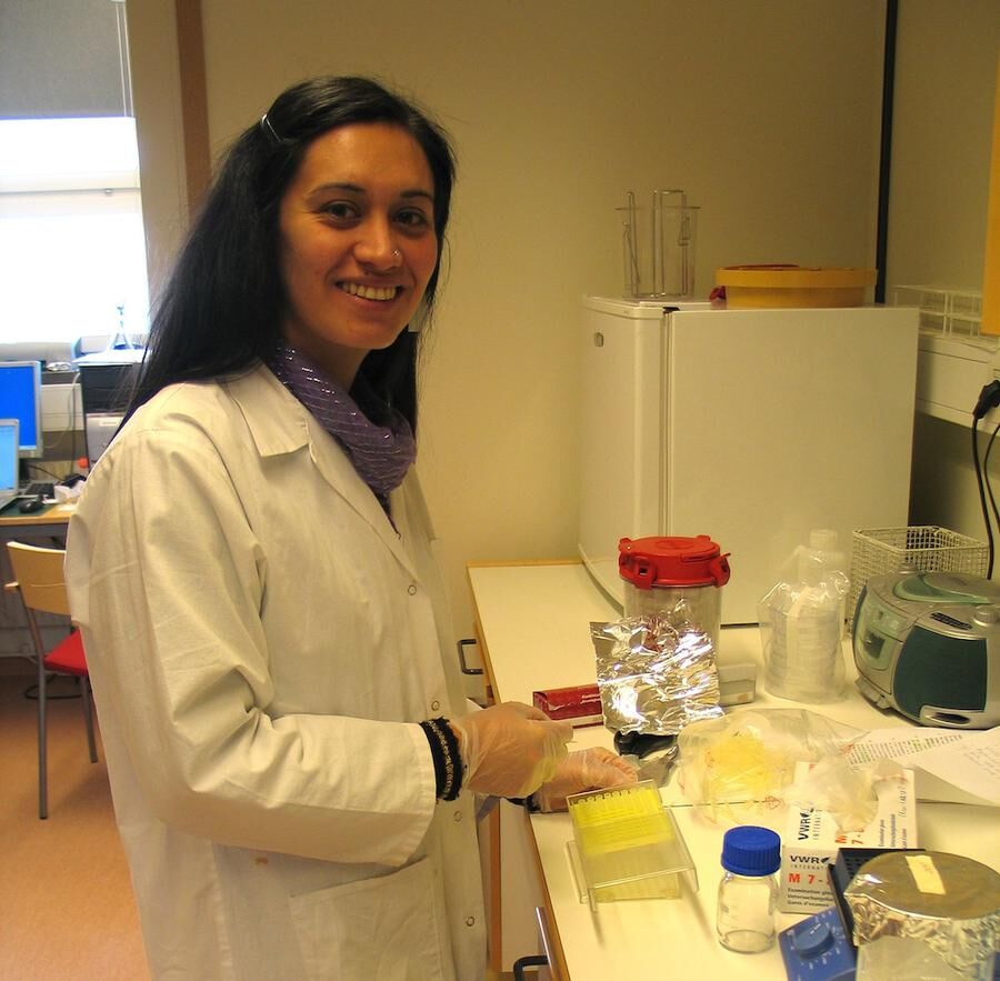 MER FORSKNING Alejandra Vásques fortsätter arbetet med att undersöka honungsbakteriernas effekt i labbet. Foto: ConCellae.