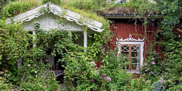 Kolla in den lummiga sagoträdgården i Småland