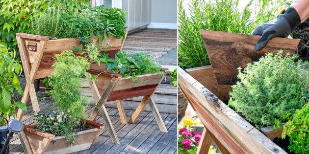 Bygg en enkel odlingskrubba – som du enkelt kan flytta
