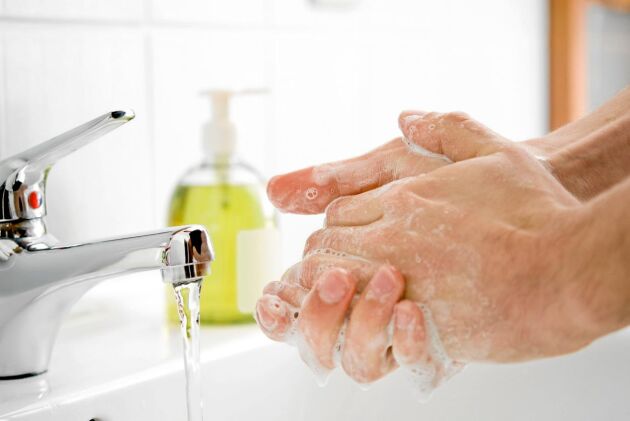  Att tvätta händerna ofta i förkylningstider skyddar mot lunginflammation. 