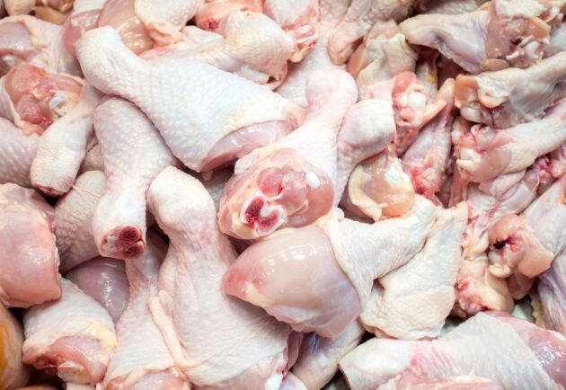  I slutet av november insjuknade ovanligt många i magsjuka på grund av campylobacter i färsk kyckling. Nu är smittkällan funnen.