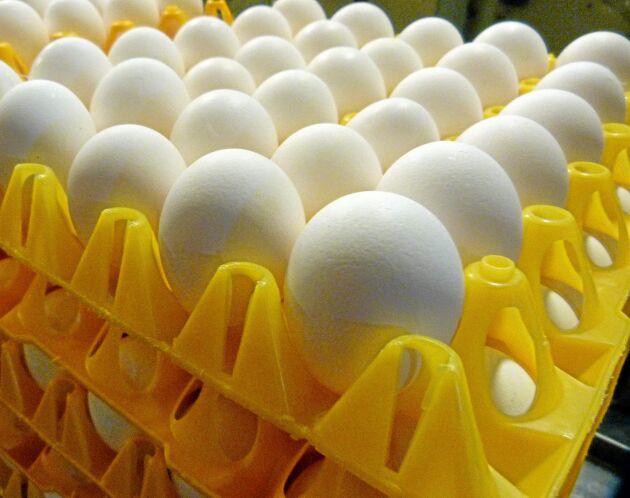  Enligt Svenska Ägg måste priset i konsumentled öka med tio till 15 öre per ägg som kompensation för ökade foderkostnader.