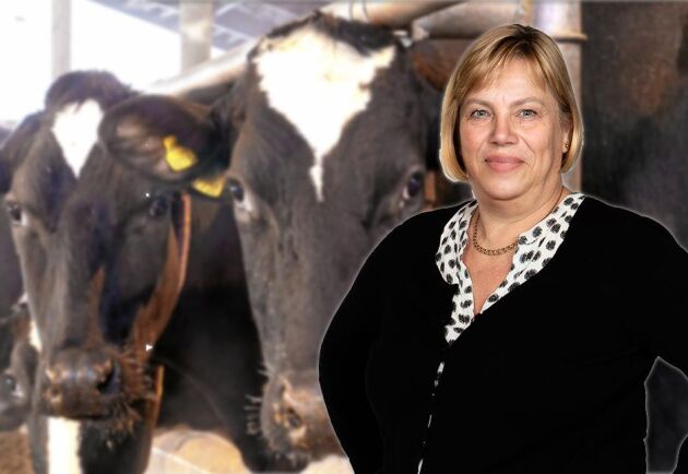 Tänker inte Degerfors och Karlskoga kommuner på fördelarna med lokal mjölkproduktion, undrar Lena Johansson.