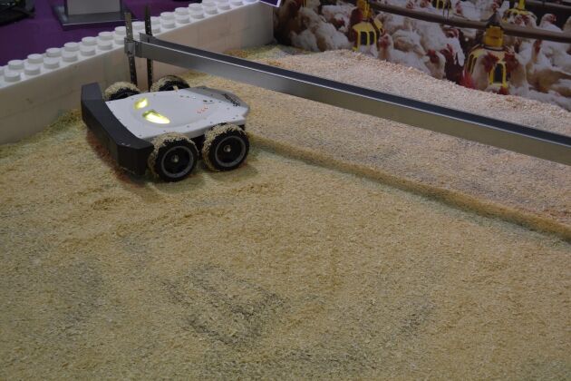  Den lilla roboten, Spoutnic, ska minska golväggen genom att tvinga hönsen till rörelse på golvnivå.