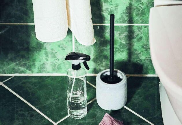  Slarvar du också med toalettrengöringen? Bakterierna samlas lätt just kring toalettstolen.