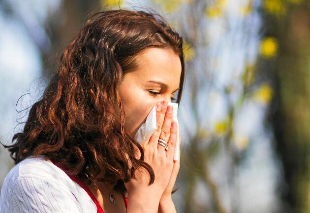  Symtomen på allergi och förkylning kan likna varandra, men det finns skillnader som är bra att ha koll på. 
