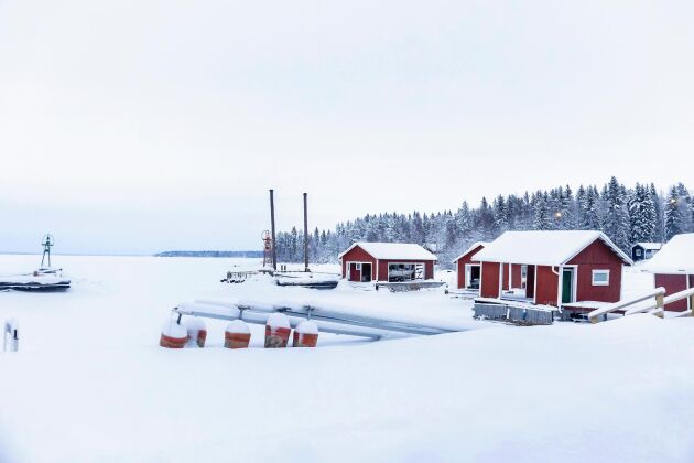  På Brändön finns en gammal fiskehamn och numera även en fritidsbåtshamn, med 62 båtplatser samt sjöbodar. Härifrån når man öarna i Råneås yttre skärgård. 