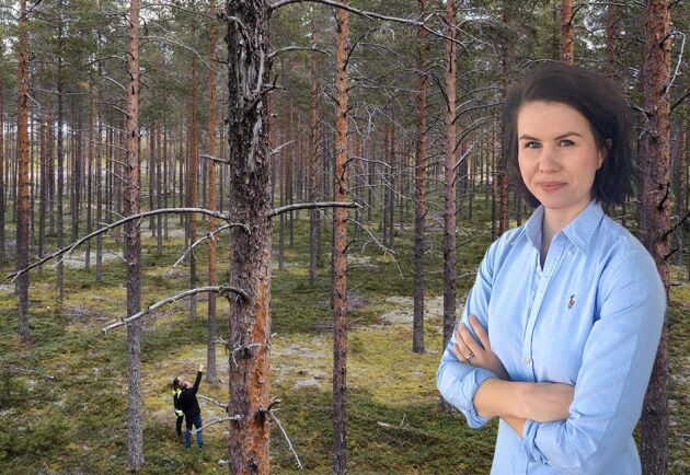  Den stora utmaningen framöver för svenskt skogsbruk kommer att vara förändringarna i klimatet, skriver Ester Hertegård.