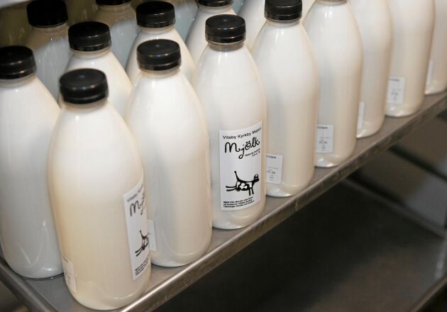  Mjölken har blivit mejeriets mest sålda produkt. 