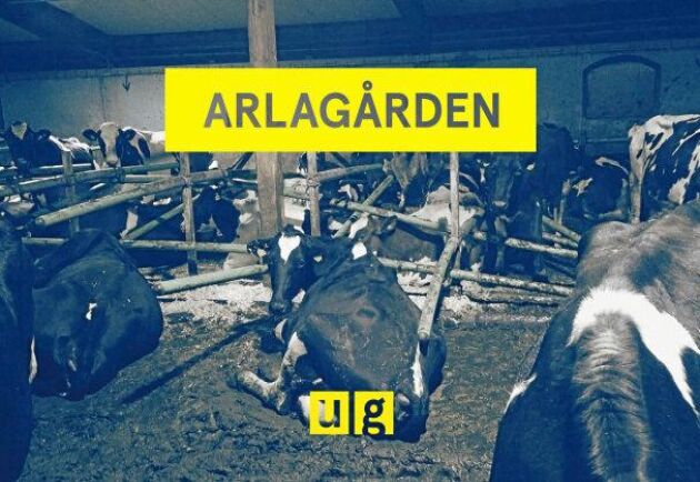  När SVTs Uppdrag Granskning rapporterade från Arlagården byggde det inte på något samarbete, svarar redaktionen.
