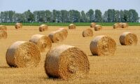 Svenska regeringen för passiv om framtidens jordbruk