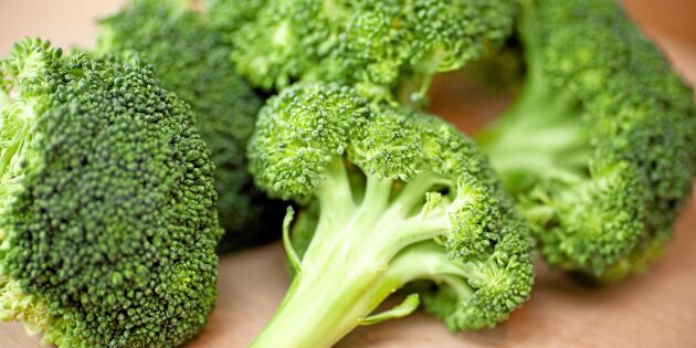 5 hälsoeffekter av att äta broccoli
