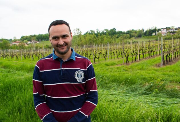  I norra Italien är det ungdomarna som tar över produktionen av vin.