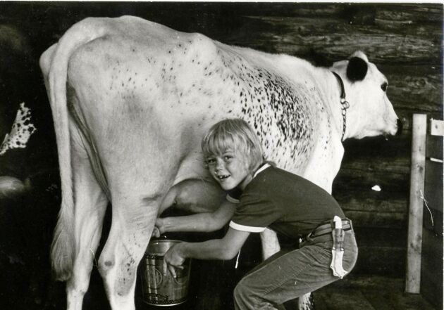  Björn fick prova på att mjölka för första gången.