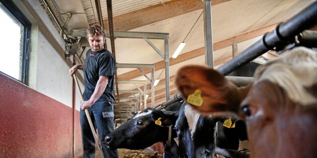 Svenska gårdar riskerar miljoner om EU skär ned stöden
