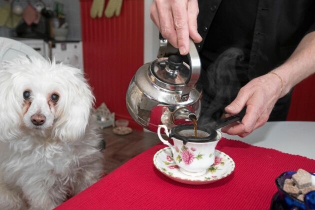  Hunden Tindra är med i köket när Åke bjuder sina kunder på kokkaffe och hembakt.
