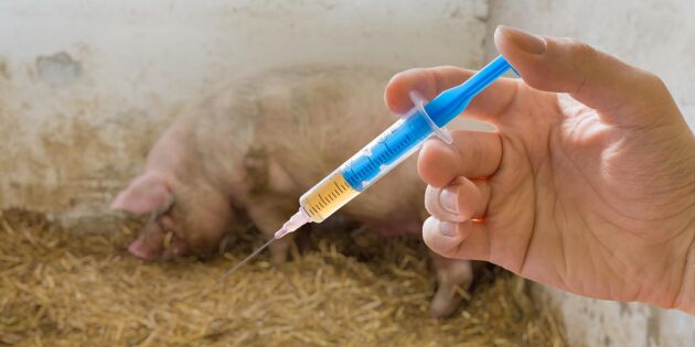 Antibiotika för djur ska regleras