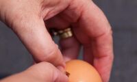 Sålde smittade ägg – förbjuds att sälja mat