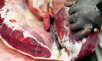 Polskt kött från sjuka djur sålt till Sverige