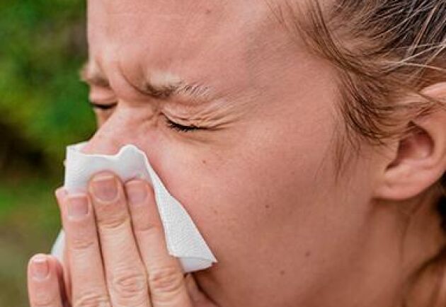  Pollenallergisymptomen förvärras av stadsluft och besvären kan hänga i länge. 