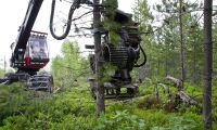 ”Sverige ska bestämma över svenska skogen”
