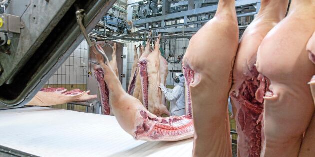 Ett steg närmare svensk grisexport till Kina