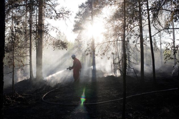  Eftersläckning av skogsbränder kan pågå i månader. Arkivbild.