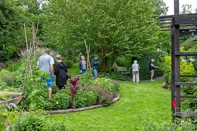  De senaste åren har Kristina och Per-Anders på Eksäter Trädgård satsat allt mer på ätliga växter, något som intresserar många av besökarna på Öppen Trädgård också. Den blommande köksträdgården blir en given samlingspunkt.