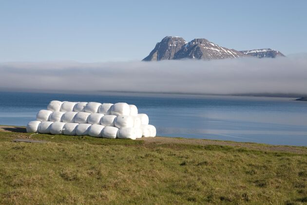  Grovfoder från Island importeras nu till de torkdrabbade bönderna i Norge.