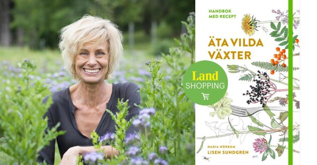  Lisen Sundgren inspirerar med sin bok som är fullspäckad med användbar kunskap om ätbara växter.