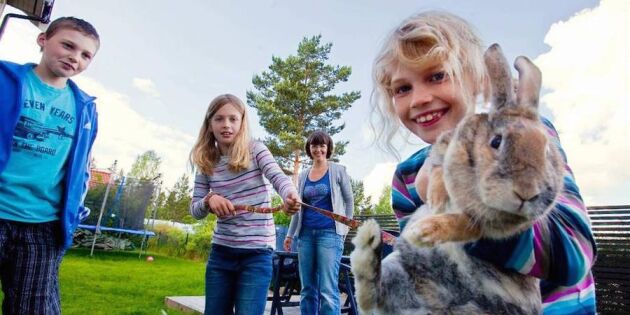 Vi hyrde ett djur över sommaren – kaninen Mia blev som vår egen