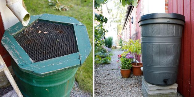 Spara regnvatten i trädgården – tips och bra alternativ