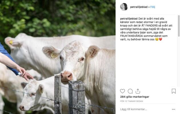  Petra Liljeblad beskriver sorgen i ett inlägg på Instagram.