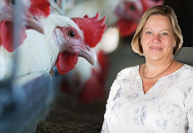  Landsbygdsministern lovar svenska ägg till påsk, men förhoppningsvis ser hon längre än så, skriver Lena Johansson.