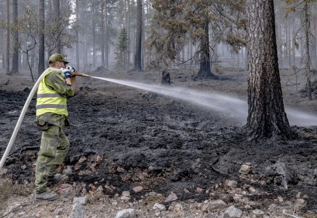  Sveaskog riskerar att inte kunna leverera enligt avtal efter somarens bränder.