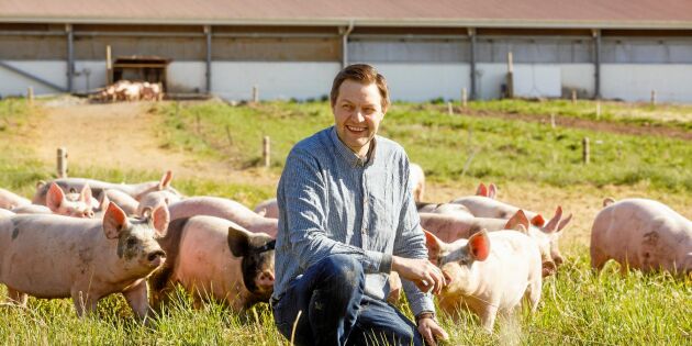 Satsar på hållbar och unik grisuppfödning