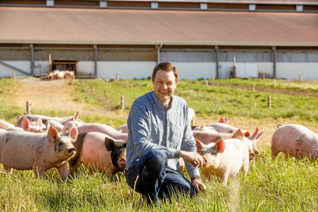  Det egna konceptet med lösgående grisar med möjlighet till utevistelse har gjort Anders Gunnarsson i Edsvära unik bland landets uppfödare. Köttet marknadsförs som Scans hållbarhetsgris.