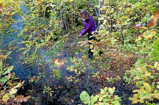  Brännhet forskning. Doktoranden Linda Petersson bränner av markskiktet med gasol i sitt försök för bättre naturlig föryngring av ek. 