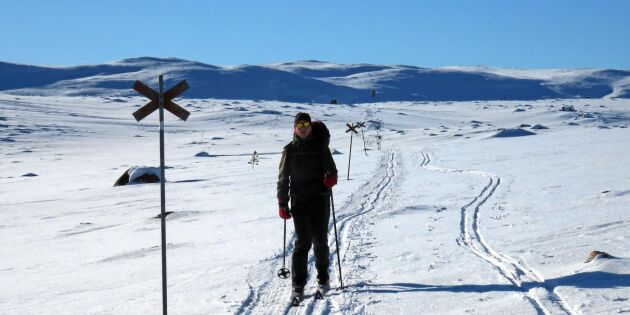På turskidor i obrutet snölandskap från Dalarna till Härjedalen